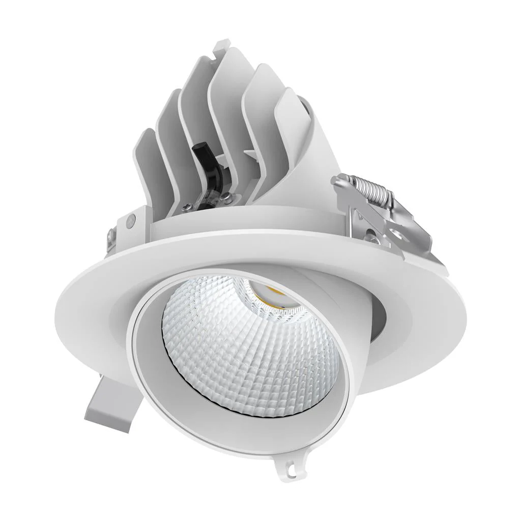 Domus SCOOP-25 Round 25W Adjustable LED Dimmable Downlight - Black/White - Image 3