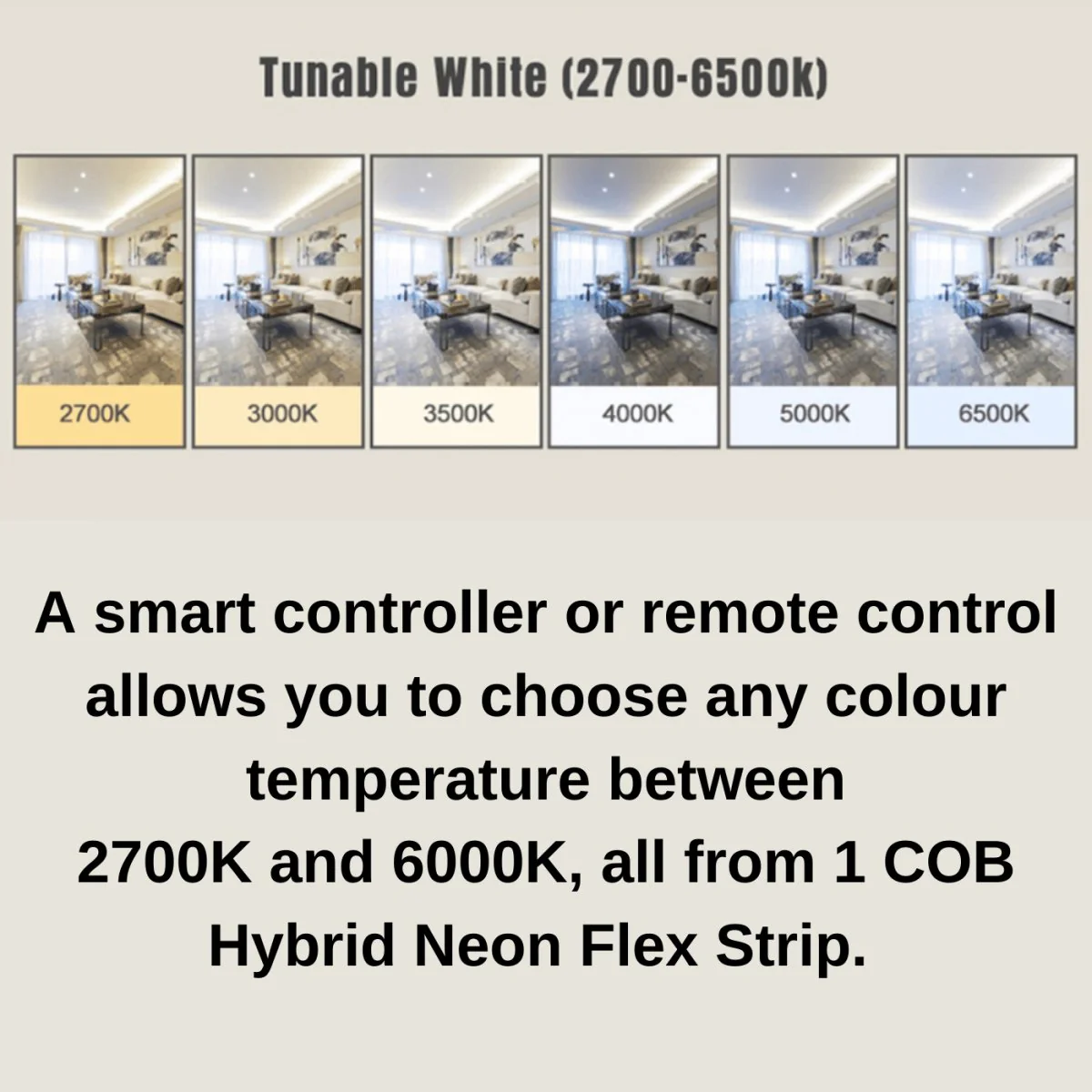 12mm | 24W/m DTW 2700K - 6500K | IP20 | COB Dot Free LED Strip Light - Image 3