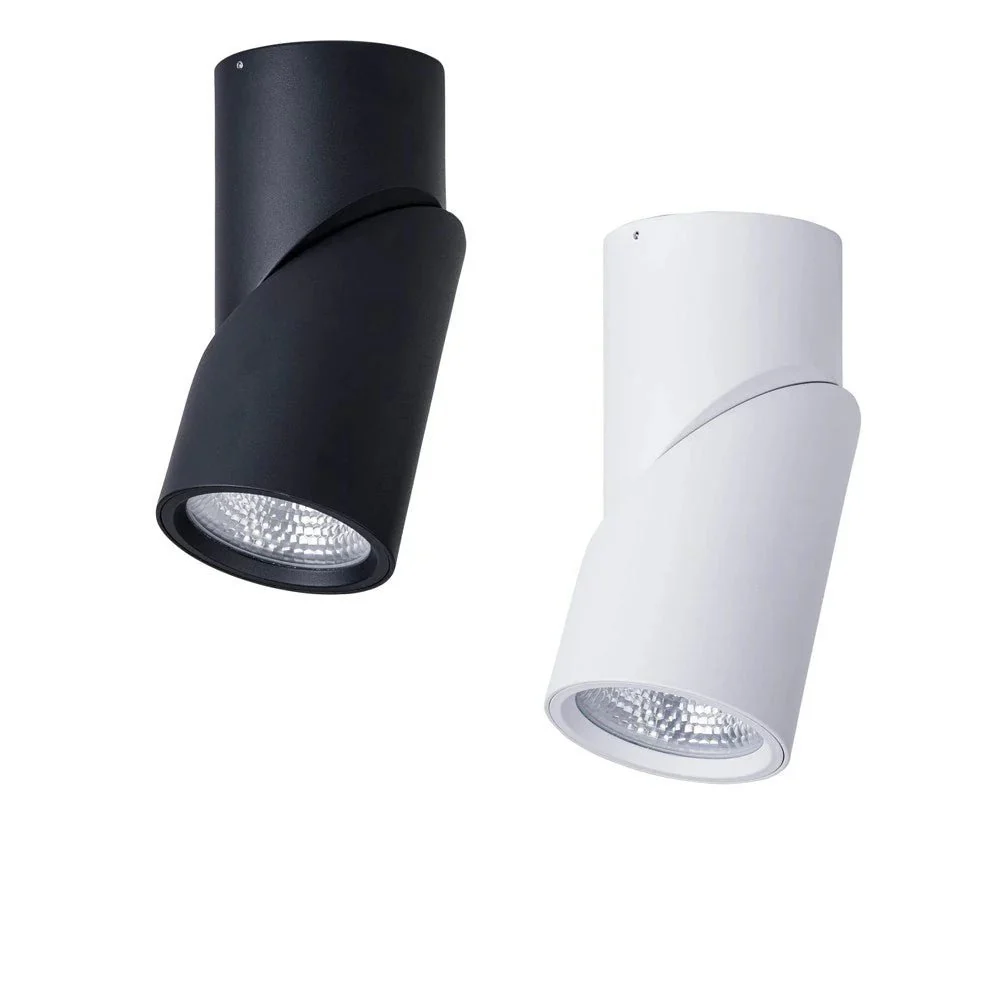 Nella LED Downlight 24w Black, White CCT HV5825T Havit Lighting