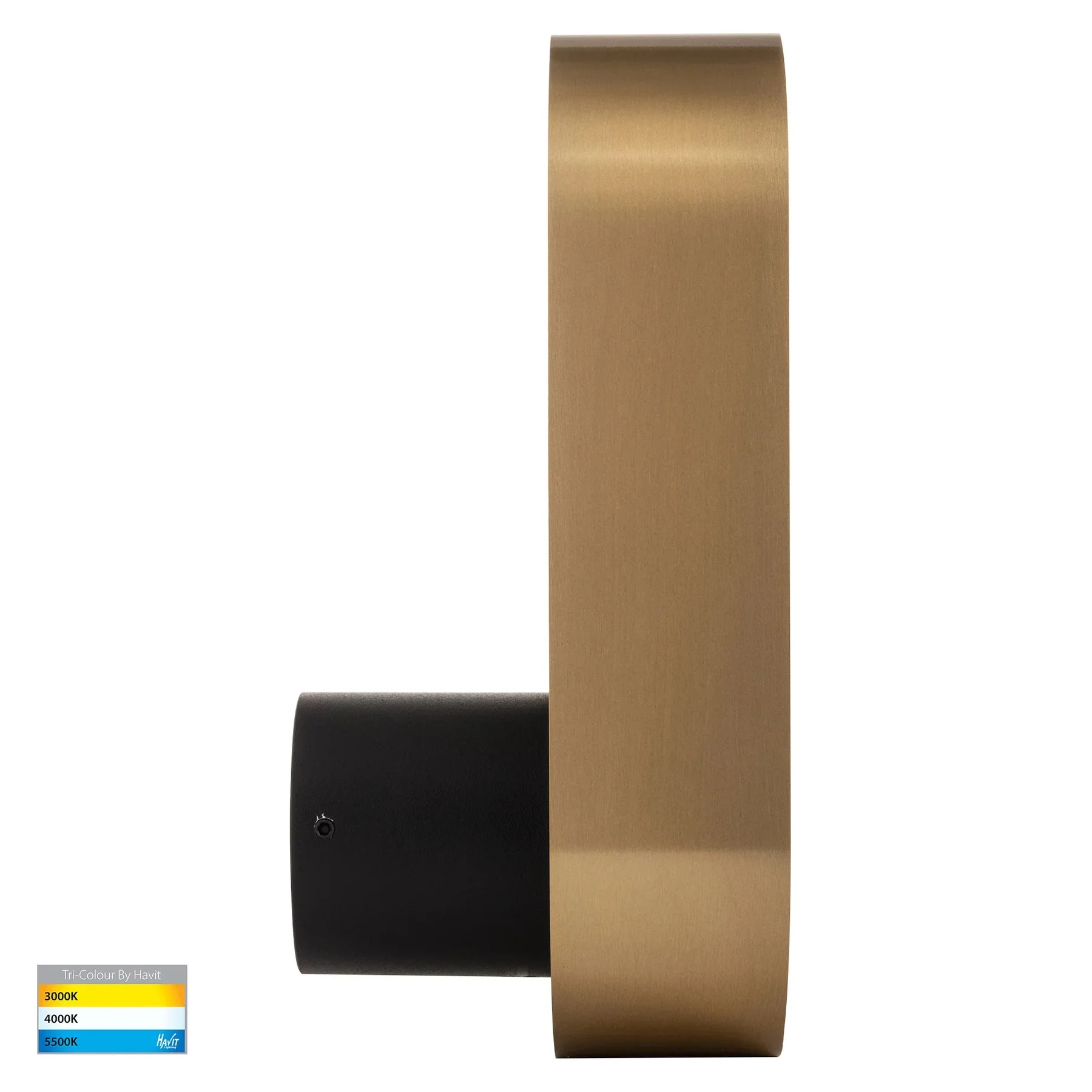 Ovale Indoor LED Wall Light in Black, Black/Brass, White, White/Brass Havit Lighting - HV8080T - Image 10