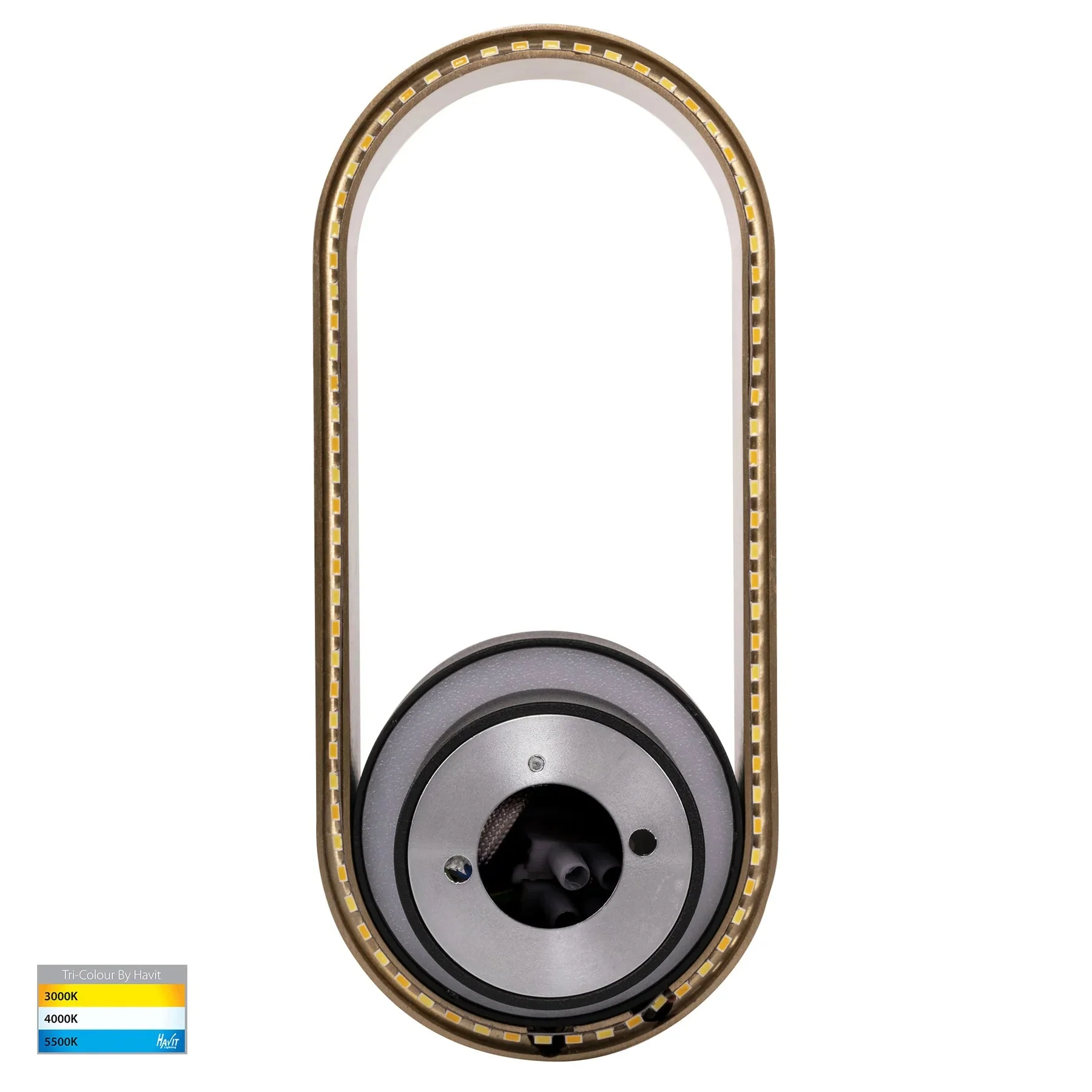 Ovale Indoor LED Wall Light in Black, Black/Brass, White, White/Brass Havit Lighting - HV8080T - Image 11