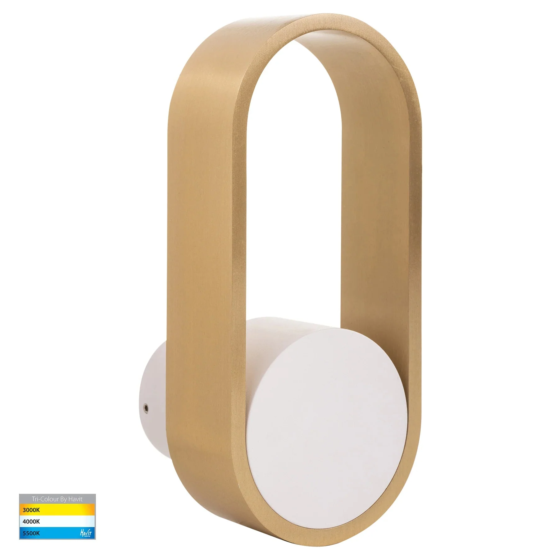 Ovale Indoor LED Wall Light in Black, Black/Brass, White, White/Brass Havit Lighting - HV8080T - Image 21