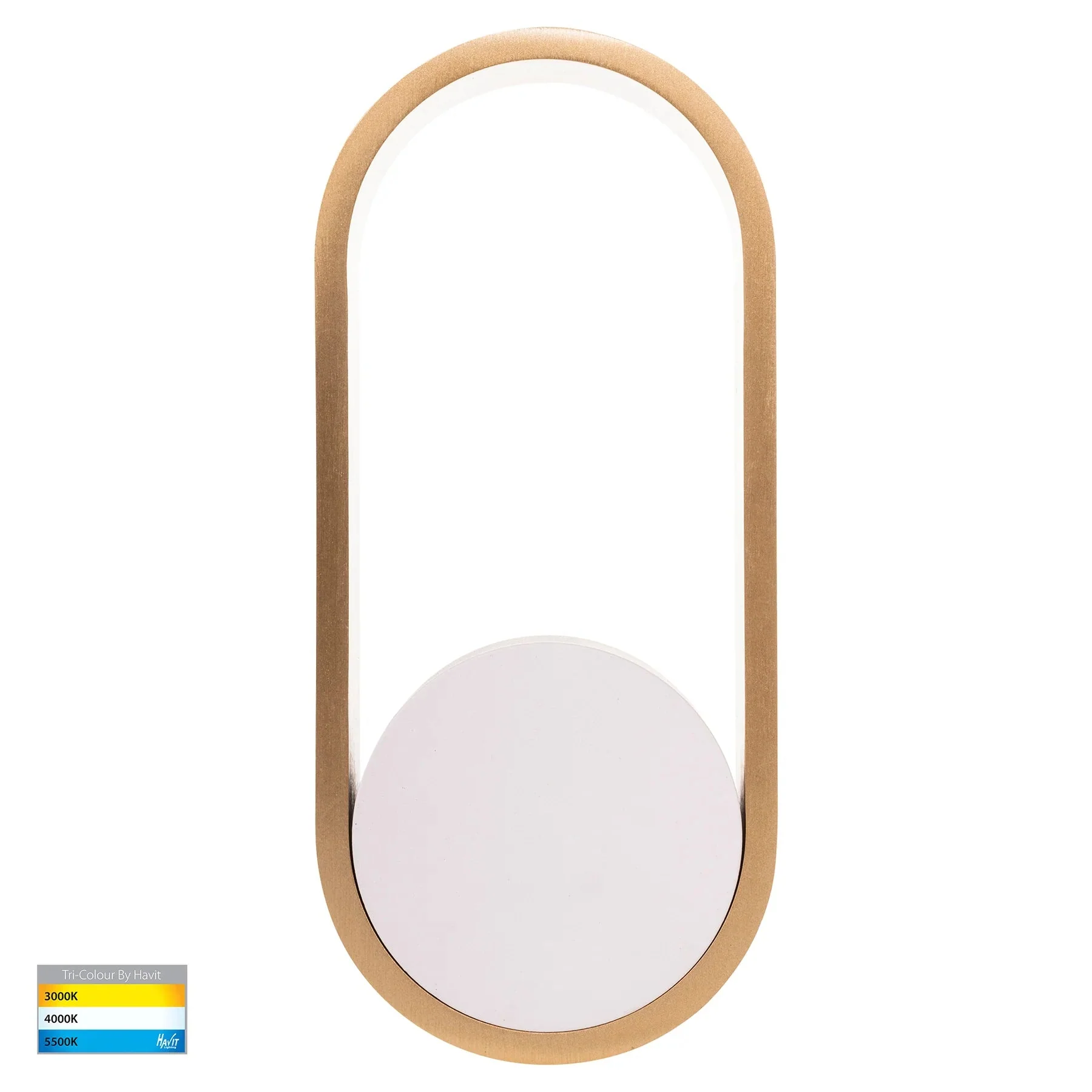 Ovale Indoor LED Wall Light in Black, Black/Brass, White, White/Brass Havit Lighting - HV8080T - Image 22