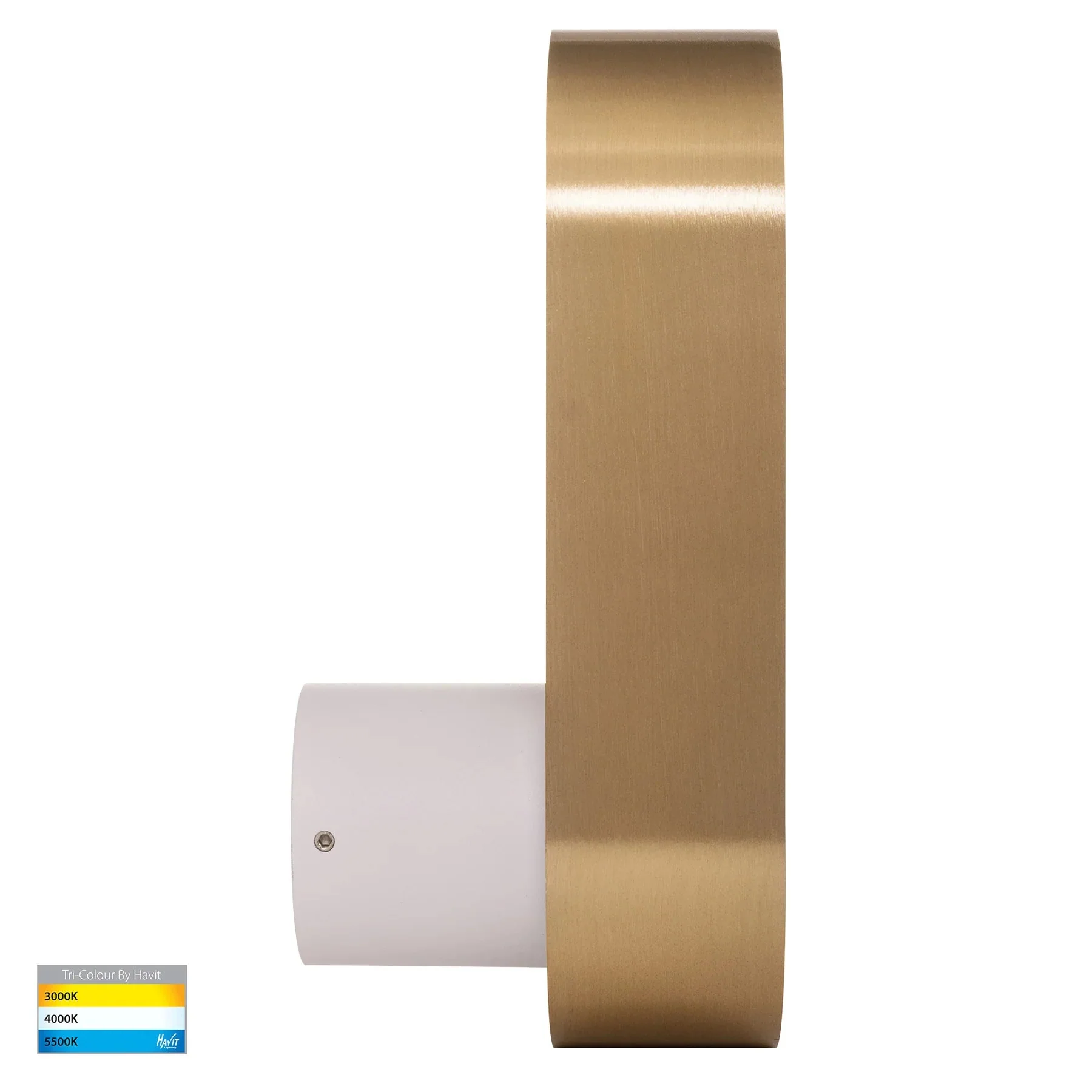 Ovale Indoor LED Wall Light in Black, Black/Brass, White, White/Brass Havit Lighting - HV8080T - Image 23