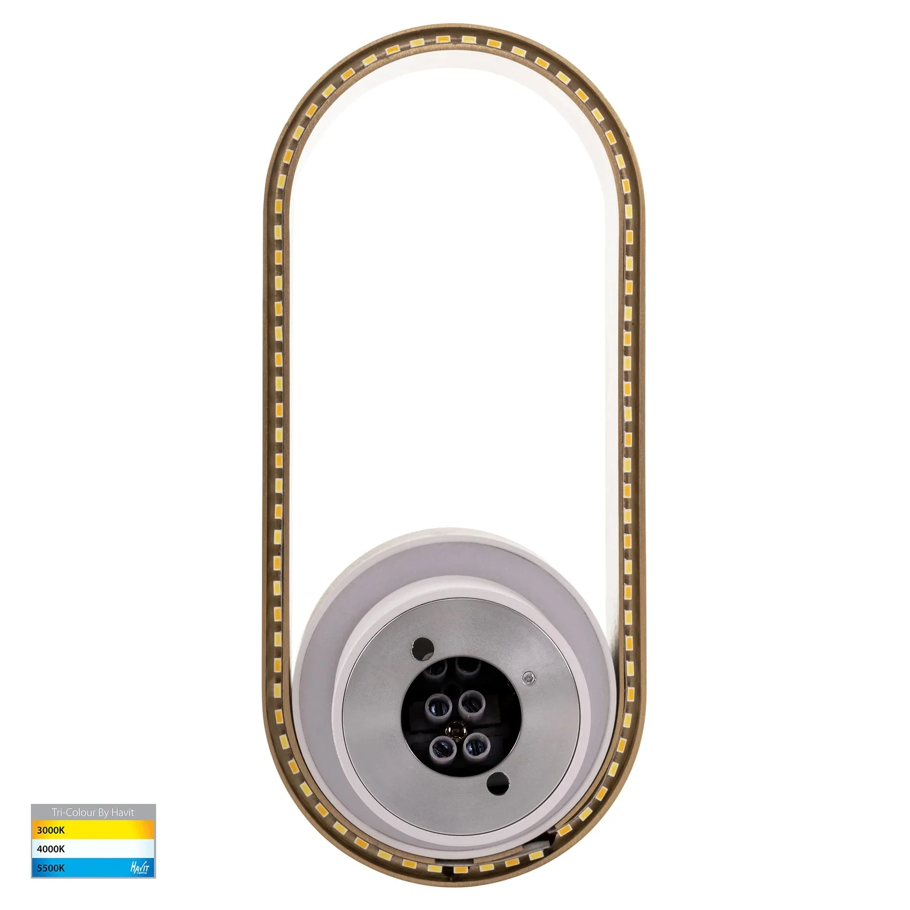 Ovale Indoor LED Wall Light in Black, Black/Brass, White, White/Brass Havit Lighting - HV8080T - Image 24