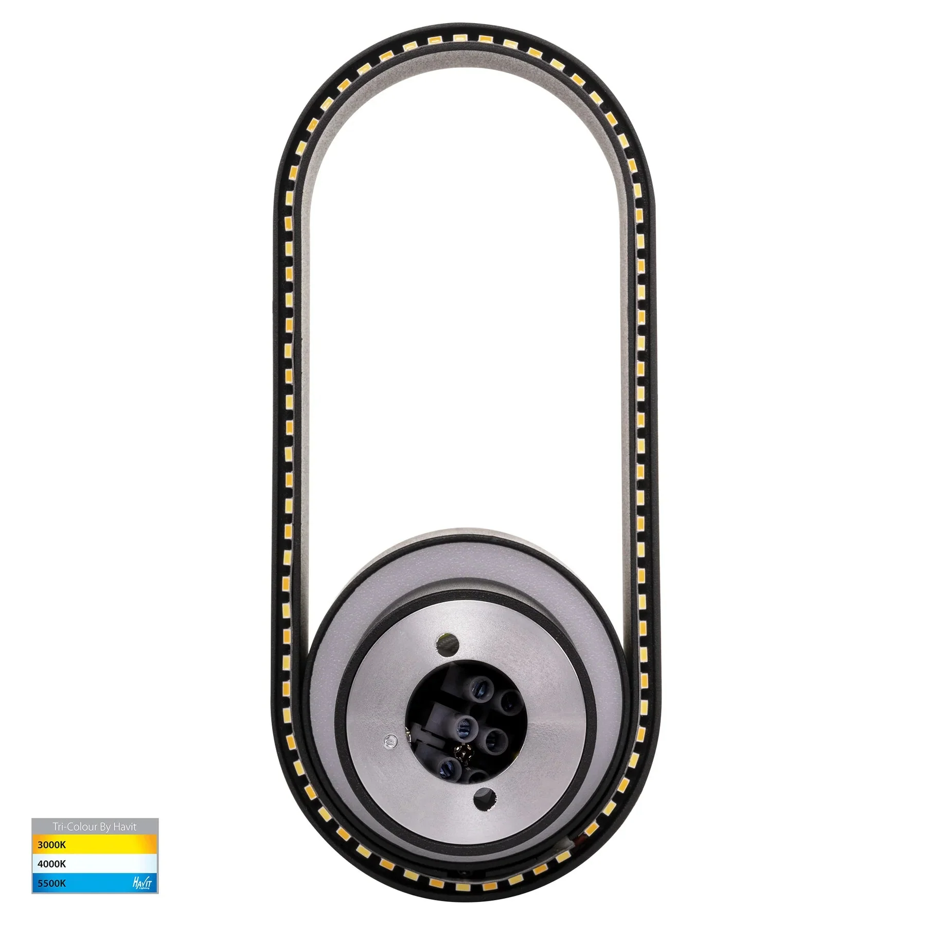Ovale Indoor LED Wall Light in Black, Black/Brass, White, White/Brass Havit Lighting - HV8080T - Image 4