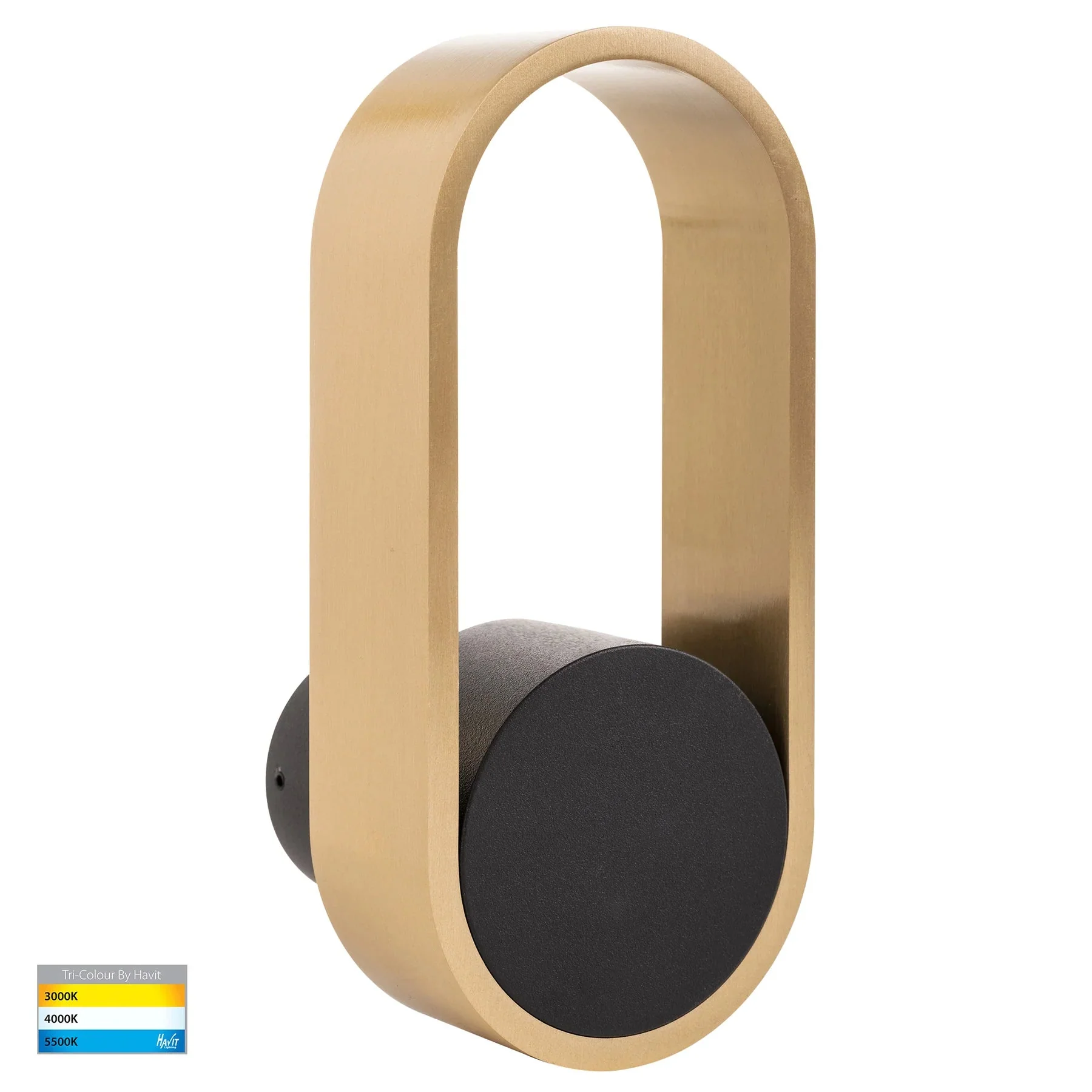 Ovale Indoor LED Wall Light in Black, Black/Brass, White, White/Brass Havit Lighting - HV8080T - Image 8