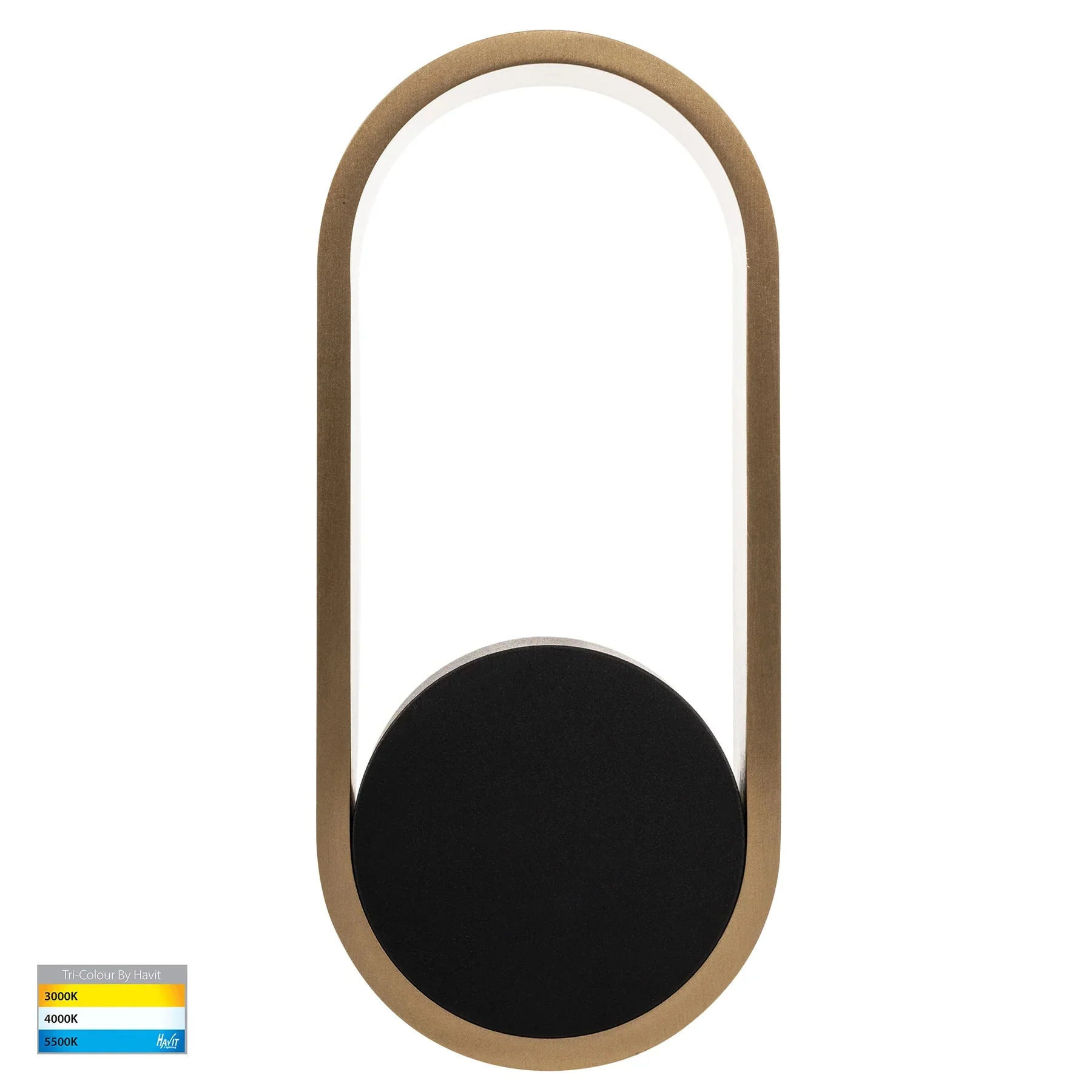 Ovale Indoor LED Wall Light in Black, Black/Brass, White, White/Brass Havit Lighting - HV8080T - Image 9