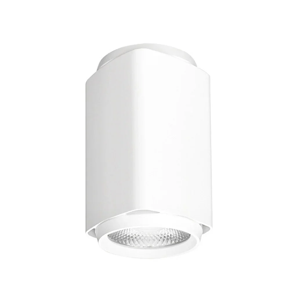 Surface Mounted LED Downlight 25w White, Black 3k, 4k CRI 90+ XSI253, XSI254 Trend Lighting - Image 3