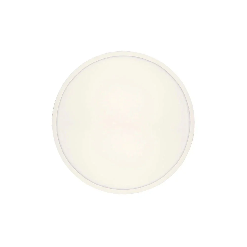 Telbix Sky 40 Round Oyster - Image 5